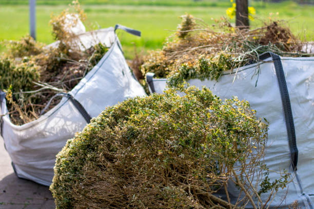 Best Garage Cleanout Services  in Santa Paula, CA